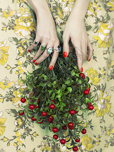 女人的手着浆果时尚艺术照片美容美甲图片