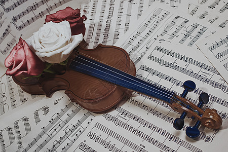 白色花带着音符玫瑰特写的老小提琴背景