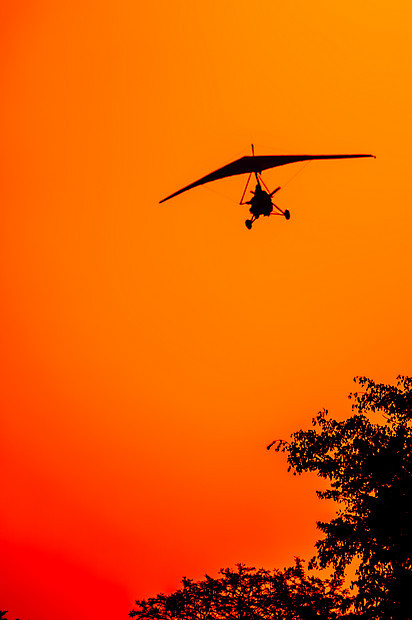 架微型飞机的轮廓,最后的接近中,当它准备降落树顶上时,太阳正红色橙色天空中图片