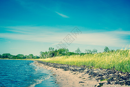 斯堪的纳维亚的海滩,绿色的田野蓝天图片