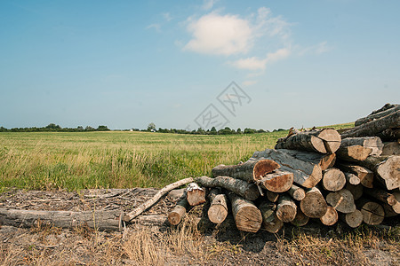 乡村景观堆木头图片