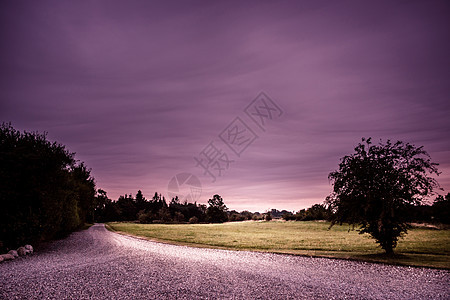 紫色景观中的自然路径图片