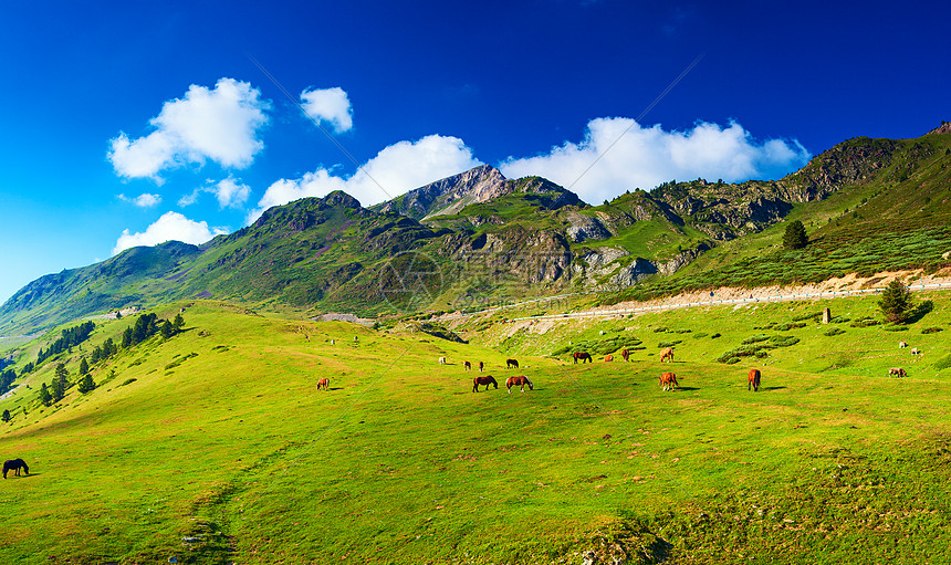 比利牛斯山夏季全景与马图片