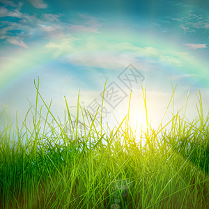 彩虹春天绿草太阳蓝天的背景上图片