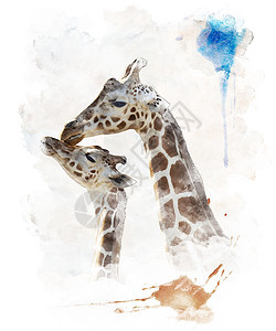 母亲婴儿长颈鹿的水彩数字绘画图片