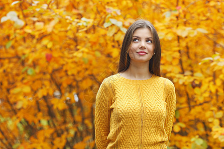 秋天树背景上位美丽的轻女子的肖像图片
