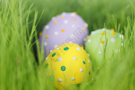 装饰复活节鸡蛋春天的草图片
