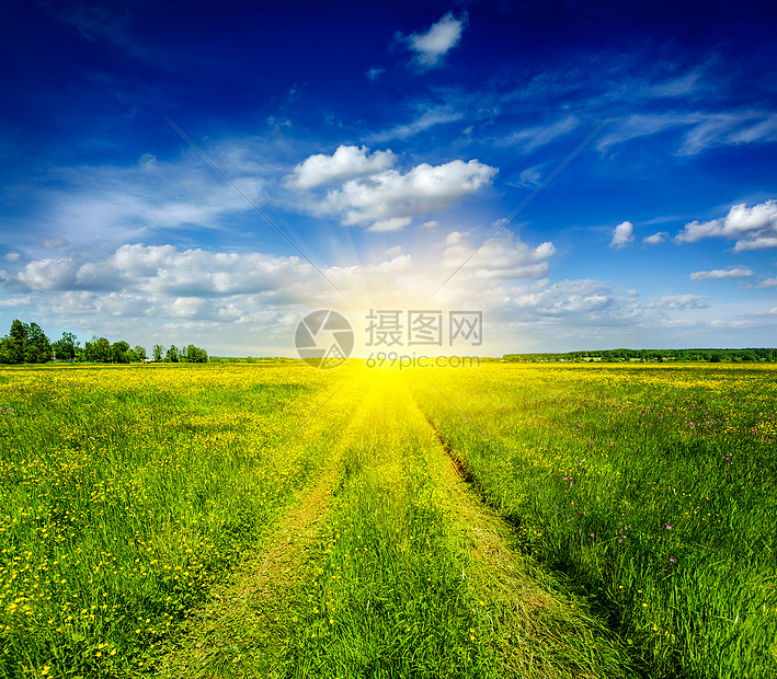 春夏背景乡村道路绿草田草甸风景与蓝天图片