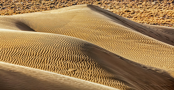 塔尔沙漠的沙丘萨姆沙丘,拉贾斯坦邦,印度图片