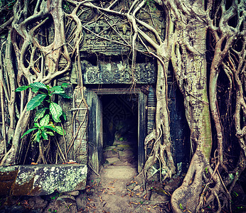 复古效果过滤了古旧风格的旅游形象,古石门树根,塔普鲁姆寺遗址,吴哥,柬埔寨图片