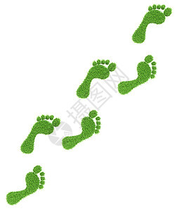 生态环保绿色生物白色上的草脚印图片