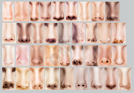 身体部位各种各样的女人鼻子鼻孔图片