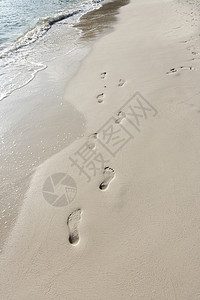 海滩上沙滩上的脚印KohPhaNn泰国图片