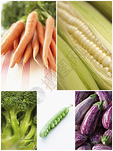 各种蔬菜的拼贴图片