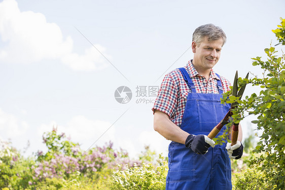 园丁苗圃剪枝图片