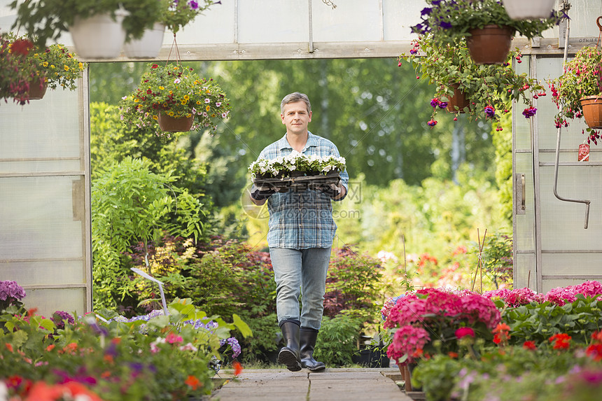 园丁进入温室时携带花盆的画像高清图片下载 正版图片 摄图网