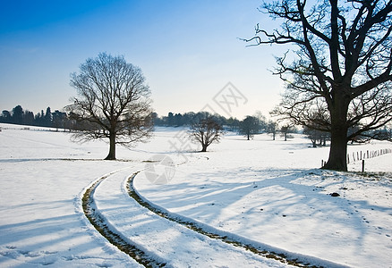 乡村景观跨越乡村背景,冬季雪地明亮的蓝天背景图片