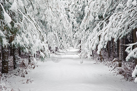 雪冬景观乡村场景与英国乡村图片