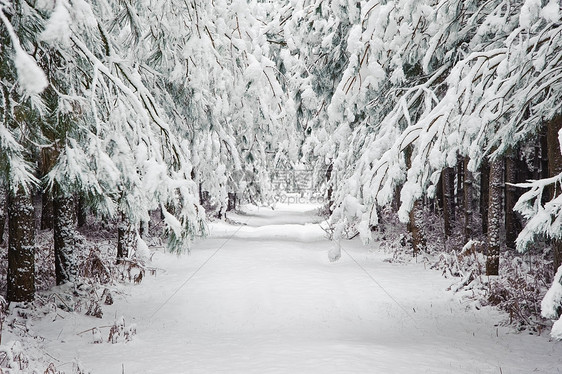 雪冬景观乡村场景与英国乡村图片