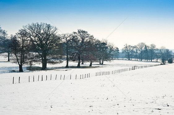 乡村景观跨越乡村背景,冬季雪地明亮的蓝天背景图片