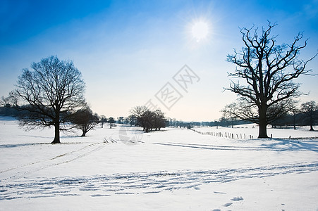 乡村景观跨越乡村背景,冬季雪地明亮的蓝天背景图片