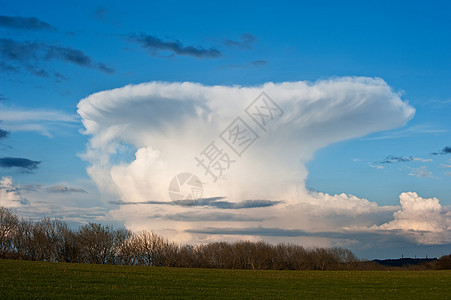 蓝天蘑菇云形状的自然美丽的云图片