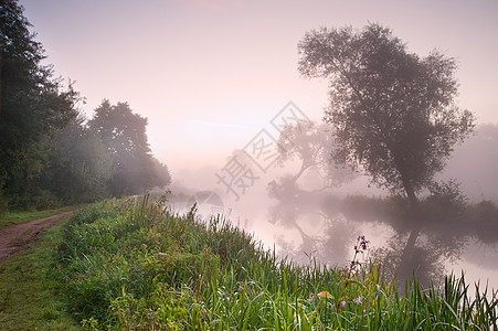 日出时穿过雾状河流的景观图片