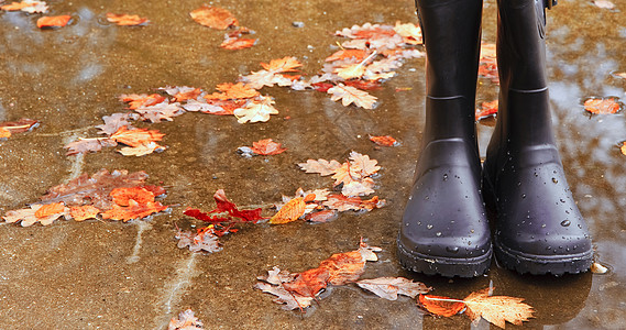 秋季形象惠灵顿靴子站金色的叶子雨坑图片