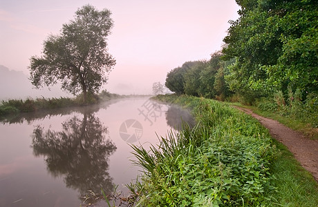 日出时穿过雾状河流的景观背景