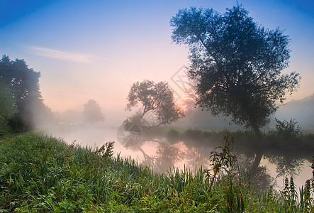 日出时穿过雾状河流的景观高清图片