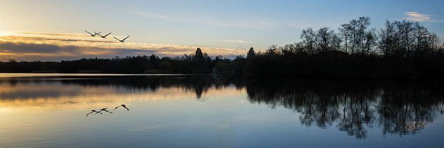 美丽的日出景观湖反射码头图片