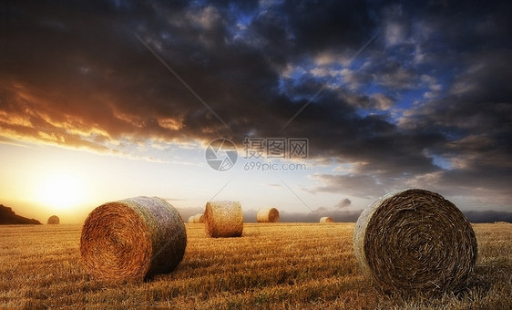 可爱的日落黄金时间景观干草捆田野英国农村图片