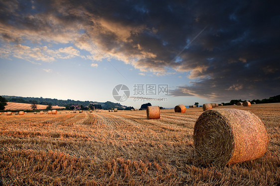可爱的日落黄金时间景观干草捆田野英国农村图片