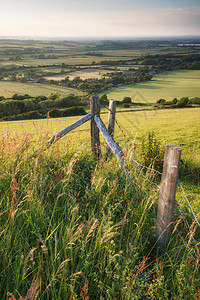 英国乡村景观夏季日落的光线下图片