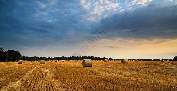 美丽的夏季日落田野的干草捆乡村景观图片