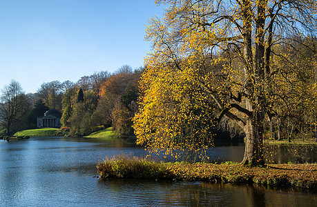 树木主要湖泊树头花园秋季图片