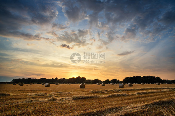 美丽的夏季日落田野图片