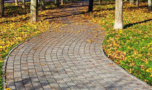 美丽的秋天小巷图片