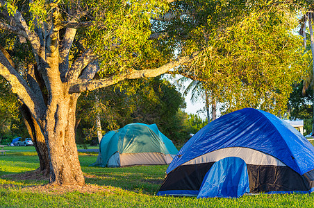 帐篷营地绿色草原上的帐篷背景