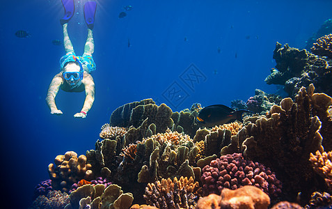 潜水者用的通气管,水下呼吸管图片