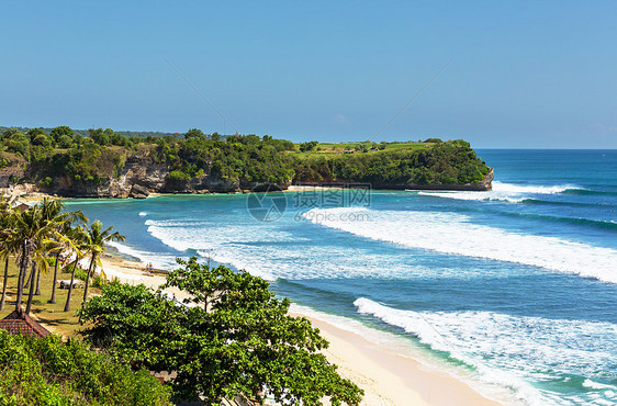 巴厘岛的热带海滩图片