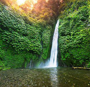 印度尼西亚丛林中的瀑布图片