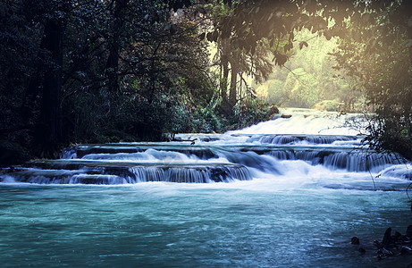墨西哥丛林瀑布图片