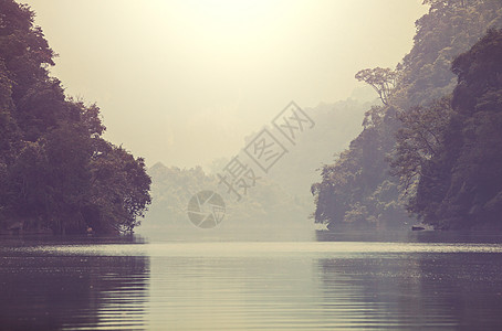 越南丛林中的宁静河图片