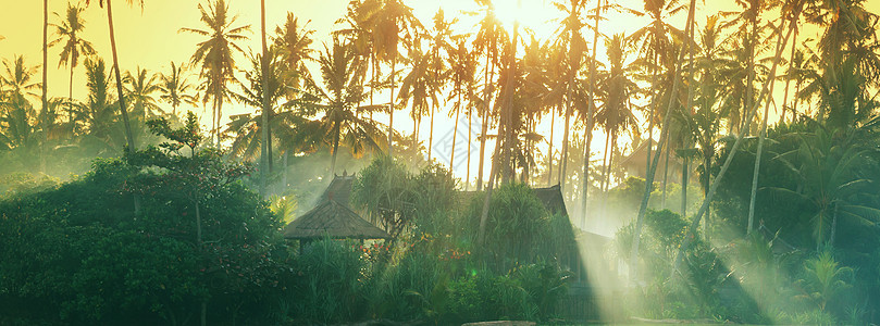热带岛屿上的竹子小屋图片