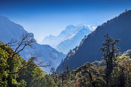 美丽的风景希马拉,安纳普尔纳地区,尼泊尔图片