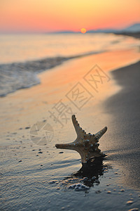 夏季海滩日落与海滩上的星星代表自由新鲜旅行的图片