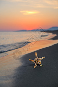 夏季海滩日落与海滩上的星星代表自由新鲜旅行的图片