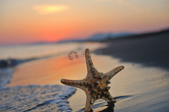 夏季海滩日落与海滩上的星星代表自由新鲜旅行的图片