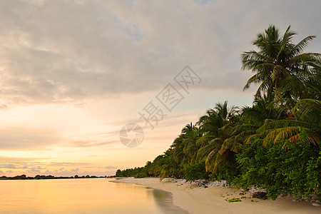 热带海滩自然景观与白沙夏天图片